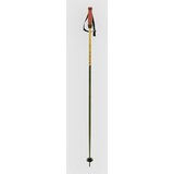 Völkl Phantastick 16mm Poles 2025 Ski Poles green | Shoptok.si