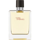 Hermes Toaletna voda za muškarce Terre D' 100ml Cene