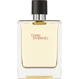 Hermes Toaletna voda za muškarce Terre D' 100ml
