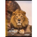 STREET Zvezek A4 Africa, črte z robom, 80 listov, sortirano, 1 kos | Shoptok.si