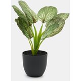 Sinsay Umjetna dekorativna biljka Alocasia u posudi | shoptok.hr