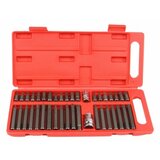 Prolinetech PROLIHETECH Set nastavaka sa TORX, SPLINE, IMBUS PLT/BIT-41 | ePonuda.com