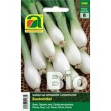 AUSTROSAAT bio mlada čebula "Witte von Lisbon" Cene