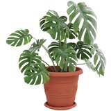  Saksije za biljke 6 pcs Crvena cigla Ø 26 x 21.5 cm Plastika | shoptok.hr