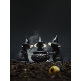 Sinsay Halloween svijećnjak za lučicu u obliku mačaka s kotlićem | shoptok.hr
