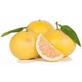  Grejp žuti 1kg Cene