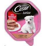 Cesar HRANA ZA PSE CURETINA TELETINA POSUDA 150G | Eponuda.com
