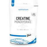 NUTRIVERSUM 100% Creatine Monohydrate 500g Cene