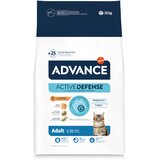  1,5 kg gratis! 10 kg Advance - Adult piletina i riža Cijene
