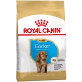 Royal Canin Ekonomično pakiranje: Breed - Cocker Puppy (2 x 3kg)