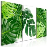 Slika - Palm Leaves (3 Parts) 120x60 | shoptok.hr