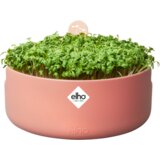 ELHO Lonec za gojenje Microgreens "magic microgreens" - Toffee terra Cene