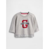 GAP Oversize crop sweatshirt VintageSoft Americana - Women's | shoptok.hr