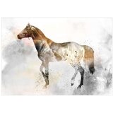  Tapeta - Fiery Steed 100x70 | shoptok.hr