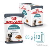 Royal_Canin Hairball Care - omaka 12 x 85 g | Shoptok.si