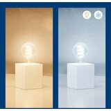 Wiz Filament pametna žarnica z žarnico E27, 6 W – | Shoptok.si