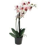  Cvet u saksiji ORCHID 50cm 51344-7 - Pink - NNT Cene