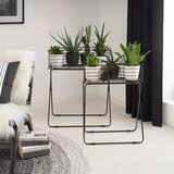 Modern Living Lonček Za Cvetlice Black Times I -Paz- | Shoptok.si