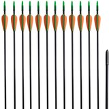 vidaXL Standardne savijene strijele za luk, 30-inčne, 0,6 cm, 12 komada cijene