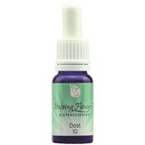 Helping Flowers® nr. 10 Dost/Origano | Shoptok.si