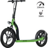 Ms Energy Električni Romobil, 20/16” točkovi, 25 km/h, Domet do 30 km – r10 black / green | Eponuda.ba