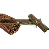 Garden Pleasure Balkonski paravan od pruća u prirodnoj boji 300x100 cm - | shoptok.hr