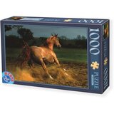 Dtoys puzzle Konj 04 - 1.000 delova Cene
