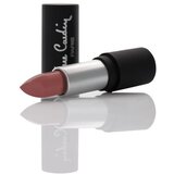 Pierre Cardin Paris Cosmetics pierre cardin mat chiffon touch ruž za usne pinky peach | ePonuda.com