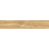 Cerrad giornata oro 11x60 | ePonuda.com