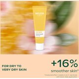 Weleda Winter Must-Have darilni set za obnovitev in hranjenje kože obraza | Shoptok.si