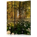  Paravan u 3 dijela - Forest flora [Room Dividers] 135x172 Cijene