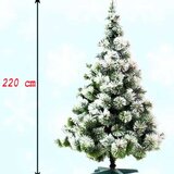 G-Trees Novogodišnja jelka Ledena 220 cm | ePonuda.com