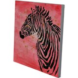 Kayoom SLIKA | Shoptok.si