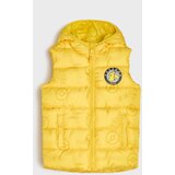 Sinsay Kviltana puffer prsluk s kapuljačom Pokemon | shoptok.hr