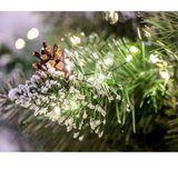  Božićna jelka 180 cm (jela) | Eponuda.com