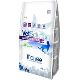 Monge vetsolution gastrointestinal feline - dijetetska hrana za mačke za podršku rada creva i varenja (400g i 1,5kg) 400g Cene