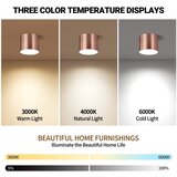  Immax NEO 07320L - LED prigušiva plafonska svetiljka RONDATE 32W/230V 16,5 cm Wi-Fi Tuya ružičasta | Eponuda.com