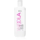 Color Conditioner regenerator za zaštitu boje 1000 ml