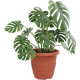  Okrugla saksija za cveće 6 pcs Crvena cigla Ø 26 x 21.5 cm - Crvena cigla Ø 22 x 18 cm 6 | shoptok.hr