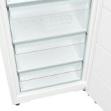 Gorenje vertikalni zamrzivač - FNC618E4W5E | Eponuda.com