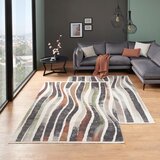 Dieter Knoll tkana preproga flow 120/170 cm tkano večbarvno | Shoptok.si