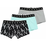 Calvin Klein Underwear Spodnjice voda / siva / črna / bela
