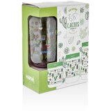 HANE Tegle sa poklopcem decor cactus set 3/1 | ePonuda.com