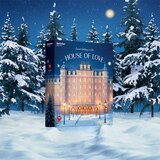 Satisfyer Advent Calendar 2025 Deluxe | Shoptok.si