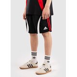 Adidas Teamgeist Kratke hlace black Cene