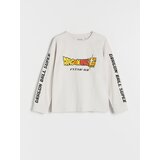 Reserved - Predimenzionirana majica dugih rukava Dragon Ball - light grey | shoptok.hr
