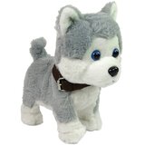 Lean_Toys Plišasti Husky Dog Interaktivne izobraževalne pesmi na povodcu Sprehodi | Shoptok.si
