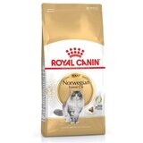 Royal Canin Norwegian Forest Cat - 2 kg Cijene