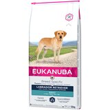 Eukanuba Adult Breed Specific Labrador Retriever - 2 x 12 kg Cijene