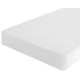Pladenj za gojenje (Zunanje dimenzije (Do x Š x V): 515,5 x 60 x 303 mm)